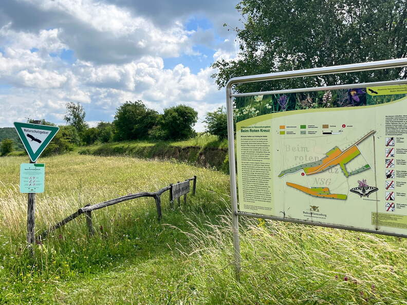 22-06-06 11-26-40 1056